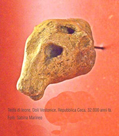 testina di leone, Dolni Vestonice, Repubblica Ceca. 32.000 anni fa. foto - sabina marineo