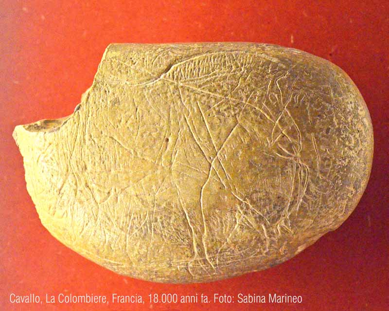 incisione di un cavallo, La Colombiere, Francia. 18000 anni fa. foto - sabina marineo