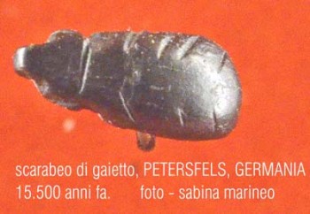 scarabeo di giaetto, Riparo Petersfels, Germania. 15.500 anni fa. foto - sabina marineo