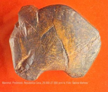 mammut, Predmosti, repubblica Ceca. 29.000 - 27.000 anni fa. foto - sabina marineo