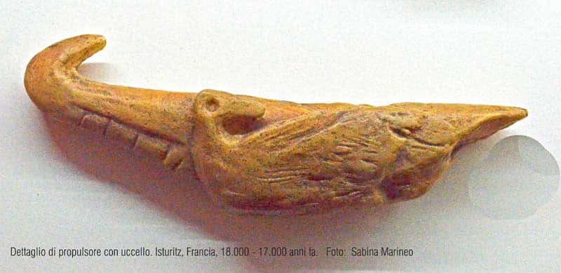 dettaglio di propulsore con uccello, Isturitz, Francia. 18.000 - 17.000 anni fa. foto - sabina marineo
