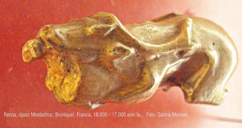 renna, Riparo Montastruc, Bruniquel, Francia. 18.000 - 17.000 anni fa. foto - sabina marineo
