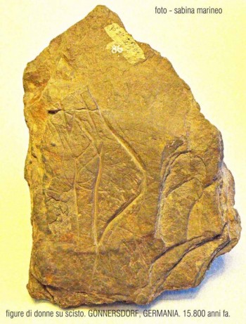 figure di donne su scisto, Gönnersdorf, Germania. 15.800 anni fa. foto - sabina marineo