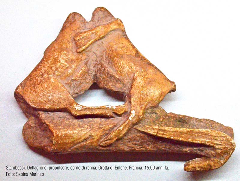 dettaglio di propulsore con stambecchi, corno di renna, Grotta di Enlene, Francia. 15.000 anni fa. foto - sabina marineo