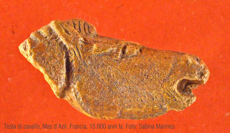 testa di cavallo, Mas d'Azil, Francia. 15.000 anni fa. foto - sabina marineo