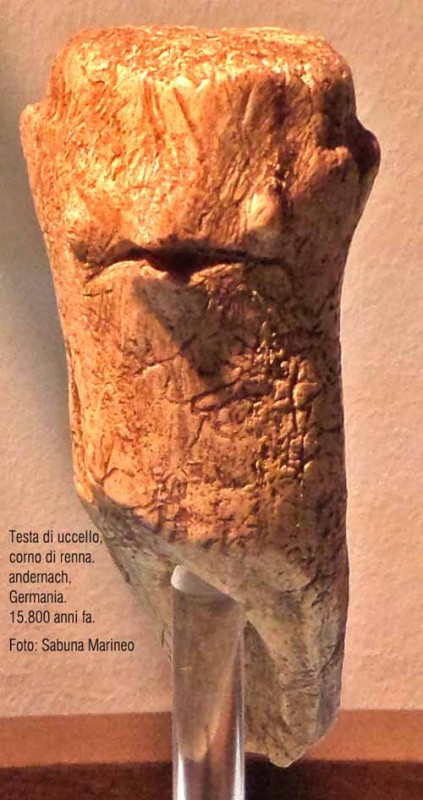 testa di uccello, corno di renna. Andernach, Germania, 15.800 anni fa. foto - sabina marineo