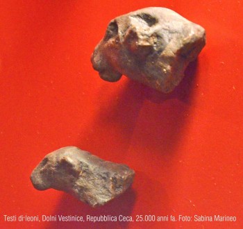 testine di leone, Dolni Vestonice, Repubblica Ceca. 25.000 anni fa. foto - sabina marineo