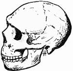 Neanderthal della Grotta di Amud vissero insieme agli antenati dei primi europei in Israele.