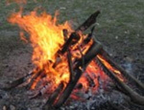 Quando l’uomo scoprì il fuoco. La scoperta del fuoco nel Paleolitico