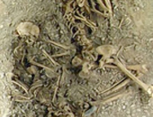 Il giallo di Eulau e il terzo DNA alle origini d’Europa