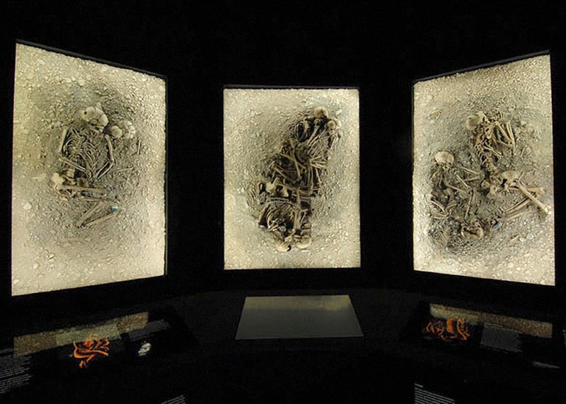 Tre sepolture dei morti di Eulau esposte al Museo Archeologico di Halle. Foto: Jurai Liptak, Landesmuseum für Vorgeschichte Sachsen-Anhalt in Halle CC BY 3.0