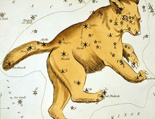 Le origini dei nostri miti risalgono al Paleolitico