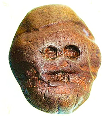 Makapansgat pebble, forse la scultura più antica del mondo scoperta in Africa nella Makapan Valley.