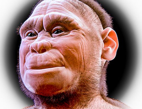 Homo floresiensis. L’isola dei nani