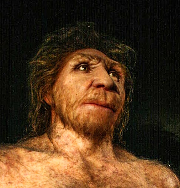 Homo heildelbergensis. Museo de la Evolución Humana, Burgos. Nachosan CC-BY-SA 3.0