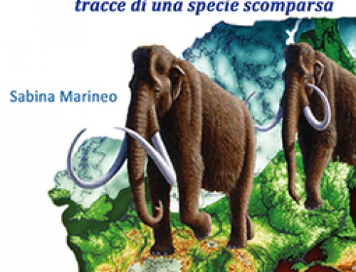 L’uomo di Neanderthal – il primo europeo