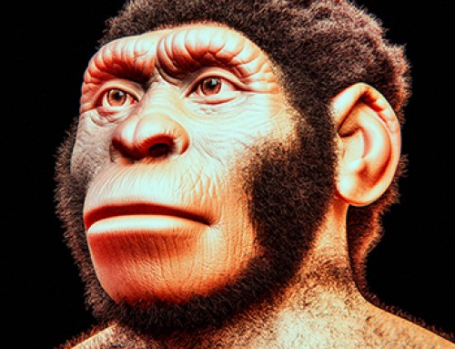 Homo naledi. L’uomo delle stelle e la nuova datazione