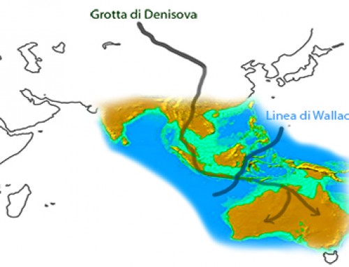 Uomo di Denisova: per primo in Australia?